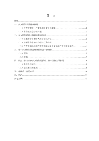 少女妈妈的社会工作服务现状分析研究 公共管理专业