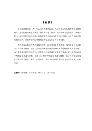 县配电网中期规划方案经济技术评估分析研究  工商管理专业
