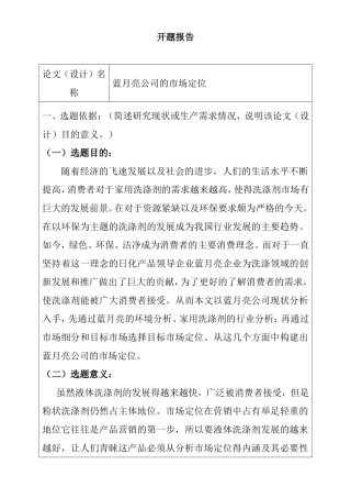 蓝月亮公司的市场定位分析研究  开题报告