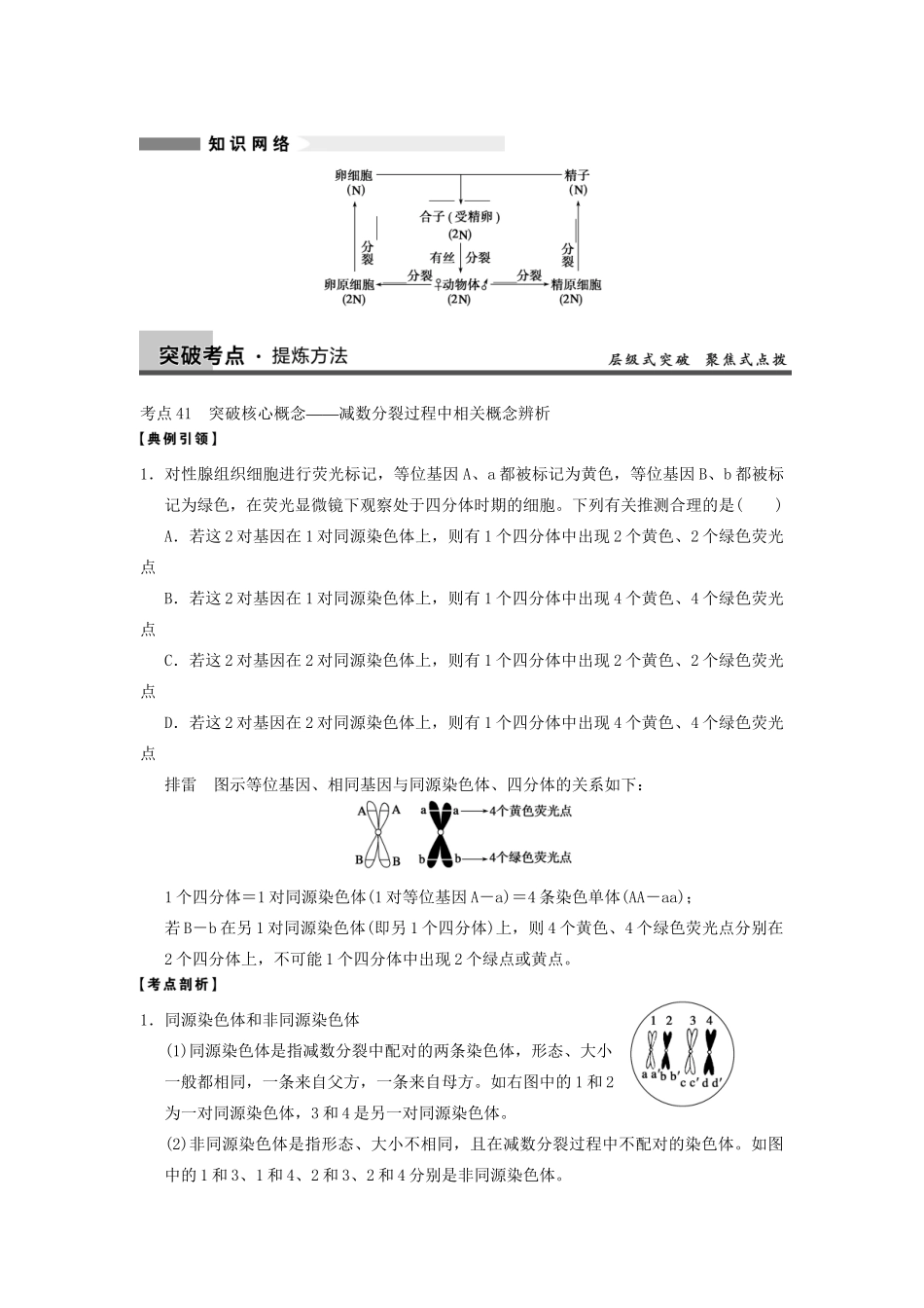 高考生物大一轮复习 第14课时 减数分裂和受精作用_第3页