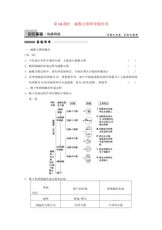 高考生物大一轮复习 第14课时 减数分裂和受精作用