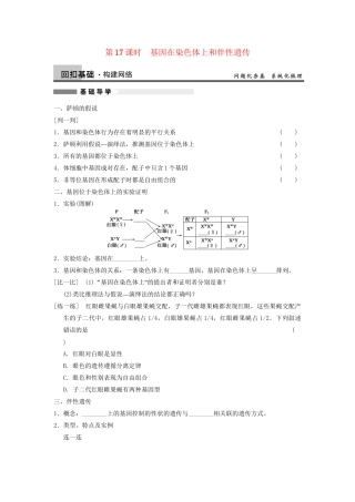 高考生物大一轮复习 第17课时 基因在染色体上和伴性遗传