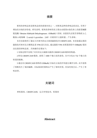 利用CRISPCAS9技术改良水稻YN6的香味品质分析研究 生物技术专业