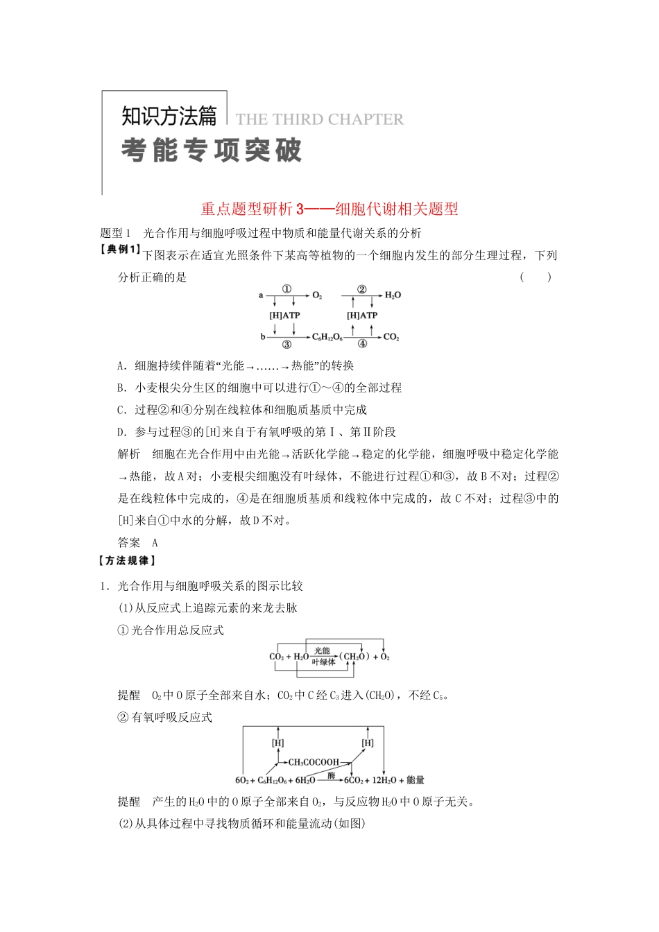 高考生物大一轮复习 第三单元  考能专项突破_第1页