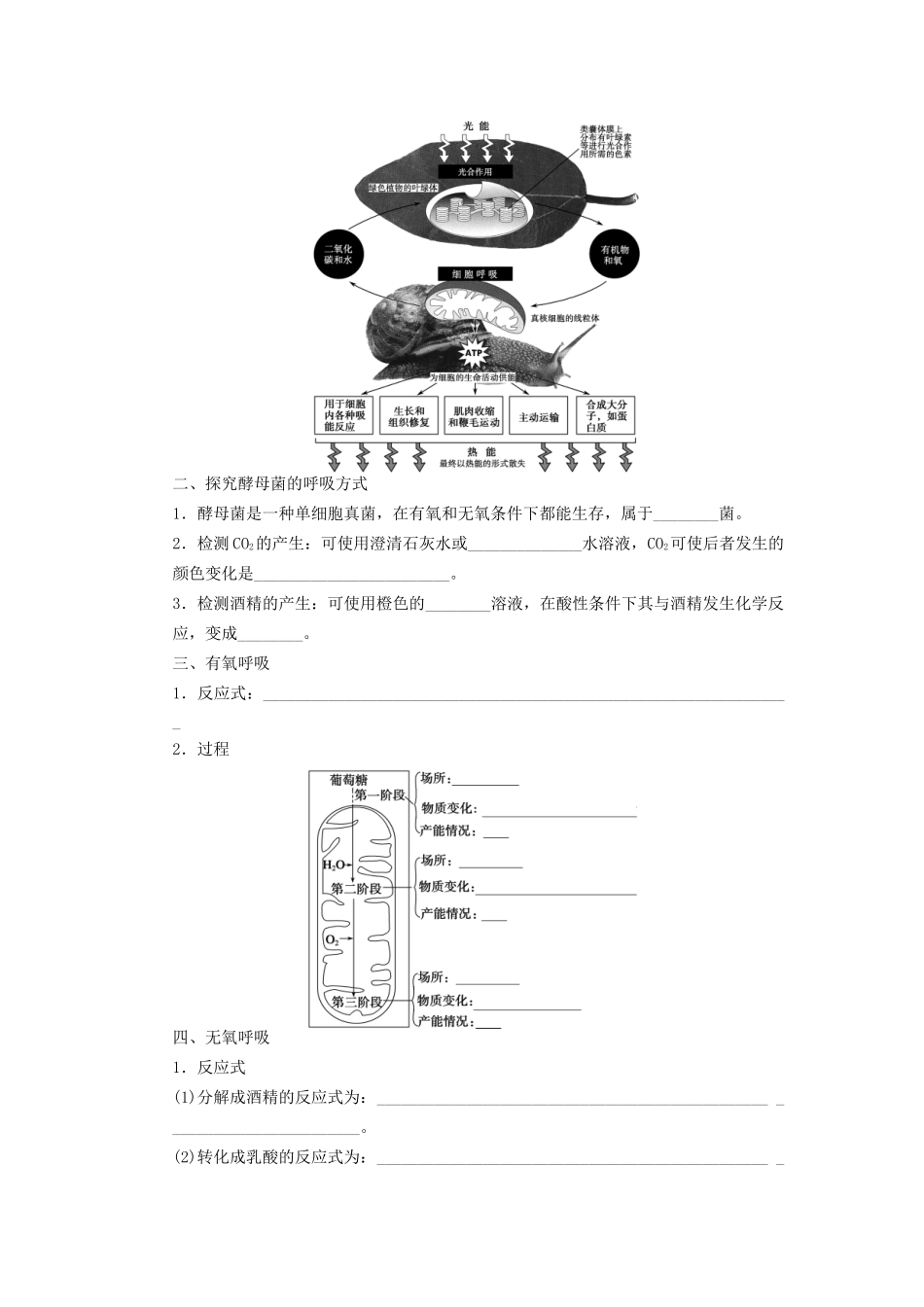 高考生物大一轮复习 第三单元 学案11 细胞的能量_第2页