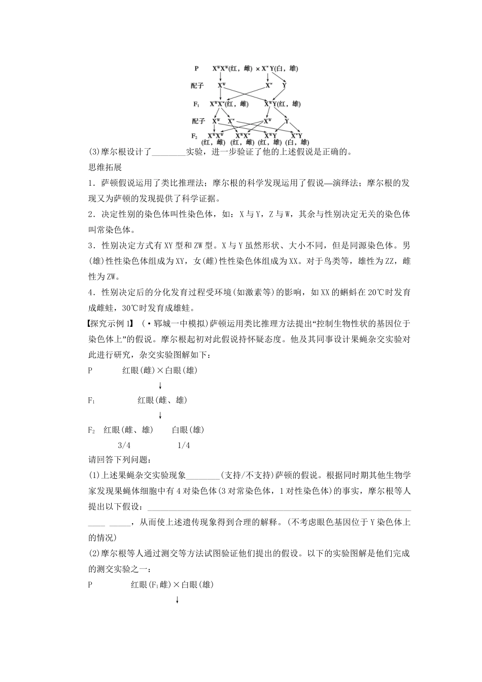 高考生物大一轮复习 第五单元 学案21 基因在染色体上和伴性遗传_第3页