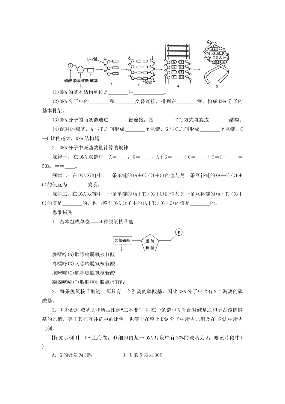 高考生物大一轮复习 学案24 DNA分子的结构_第3页