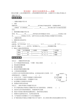 高中生物 第二章 第5课时 遗传信息的携带者 核酸课时作业 新人教版必修1
