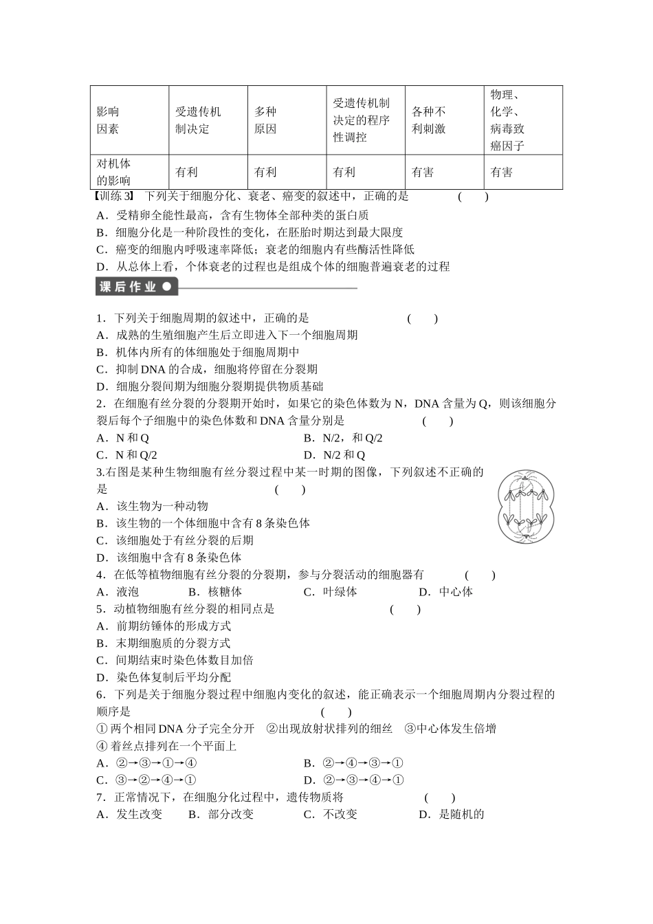 高中生物 第六章 细胞的生命历程（第30课时）章末复习 新人教版必修1_第3页