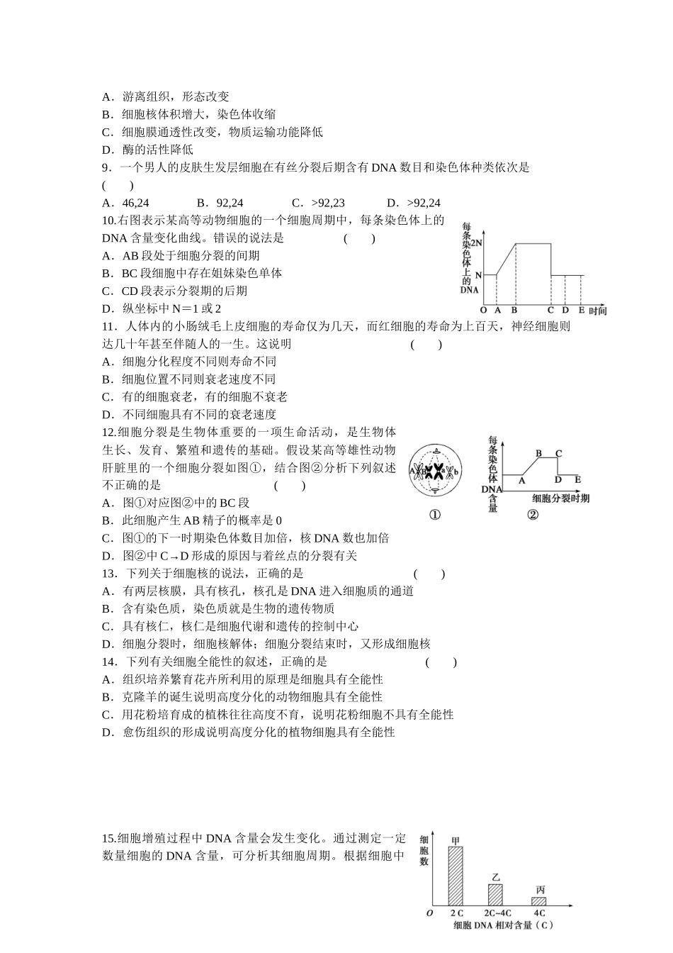 高中生物 第六章 细胞的生命历程单元检测 新人教版必修1_第2页