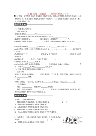 高中生物 第三章 第10课时 细胞器 系统内的分工合作课时作业 新人教版必修1