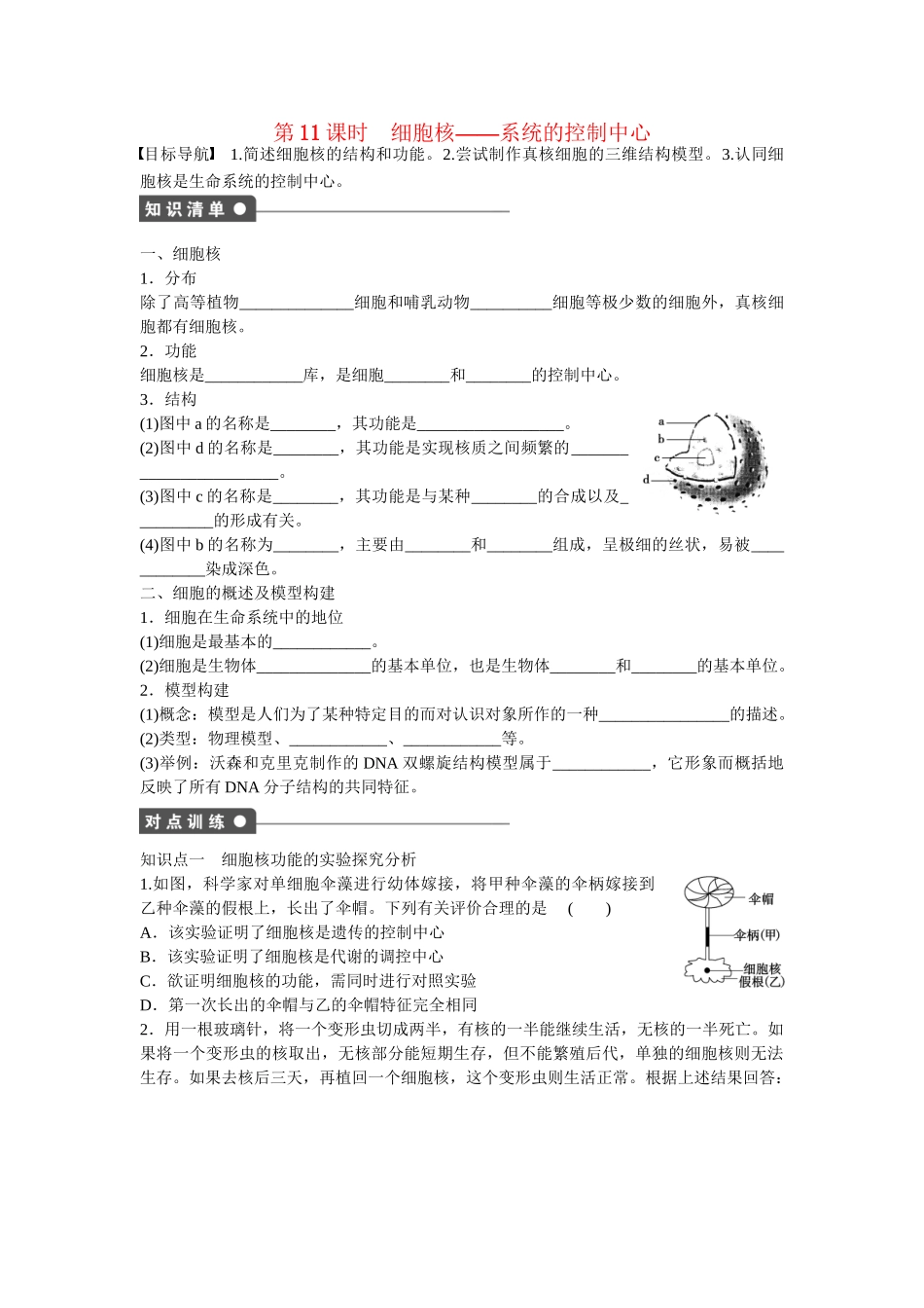 高中生物 第三章 第11课时 细胞核 系统的控制中心课时作业 新人教版必修1_第1页