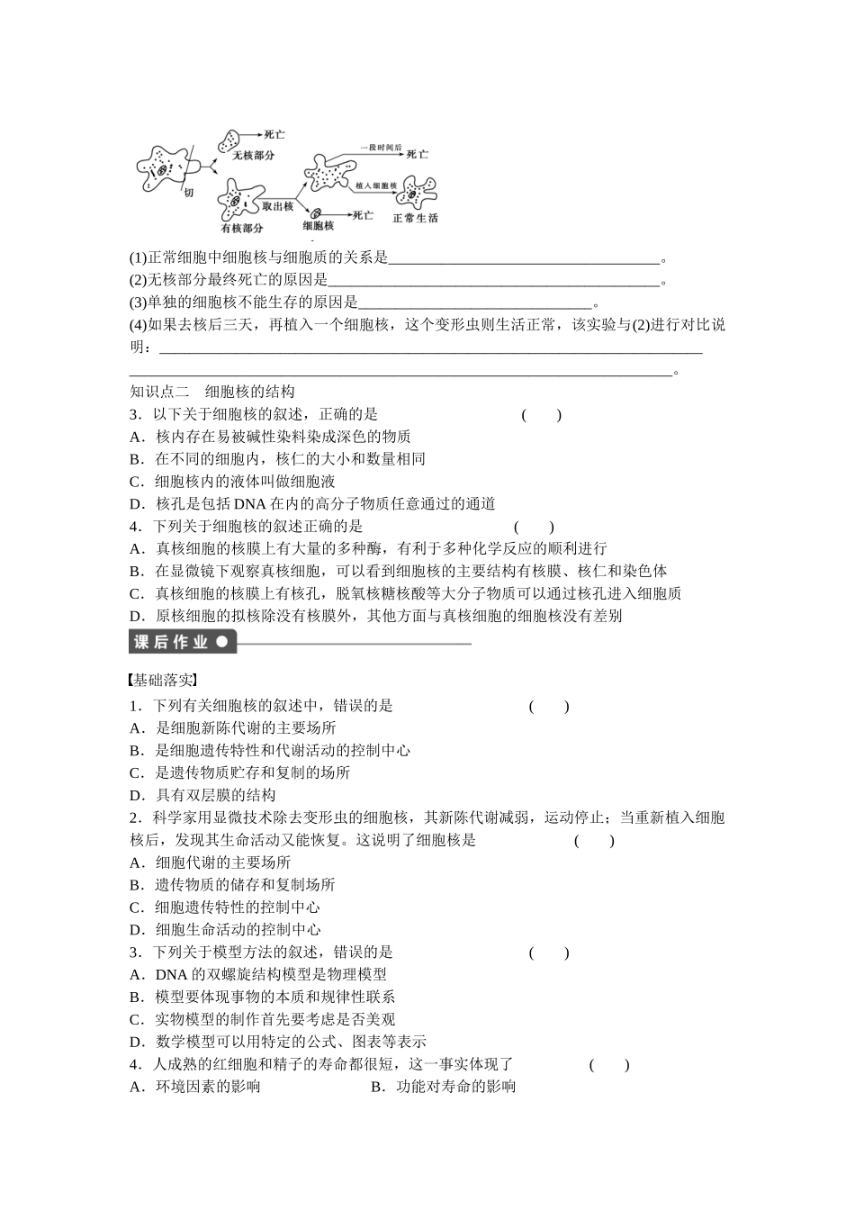 高中生物 第三章 第11课时 细胞核 系统的控制中心课时作业 新人教版必修1_第2页