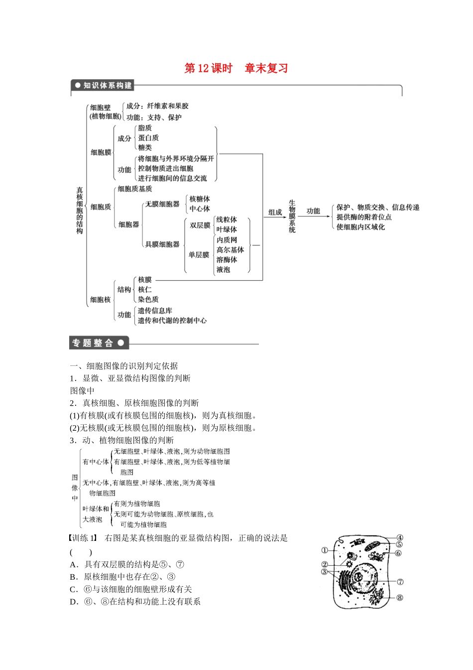 高中生物 第三章 细胞的基本结构（第12课时）章末复习 新人教版必修1_第1页