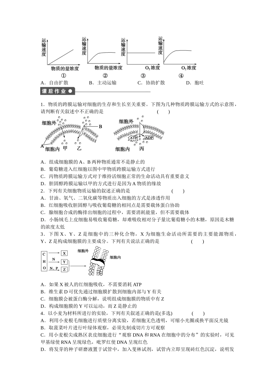 高中生物 第四章 细胞的物质输入和输出（第16课时）章末复习 新人教版必修1_第3页