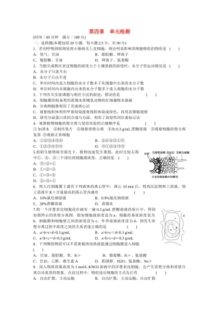 高中生物 第四章 细胞的物质输入和输出单元检测 新人教版必修1