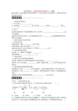 高中生物 第五章 第19课时 细胞的能量“通货” ATP课时作业 新人教版必修1
