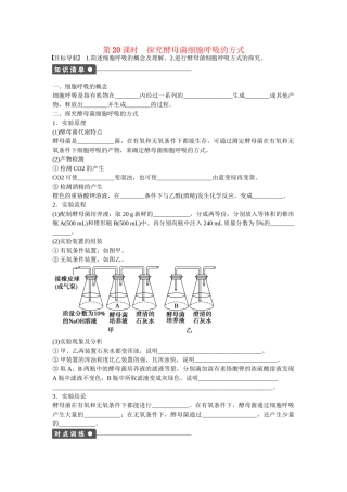 高中生物 第五章 第20课时 探究酵母菌细胞呼吸的方式课时作业 新人教版必修1