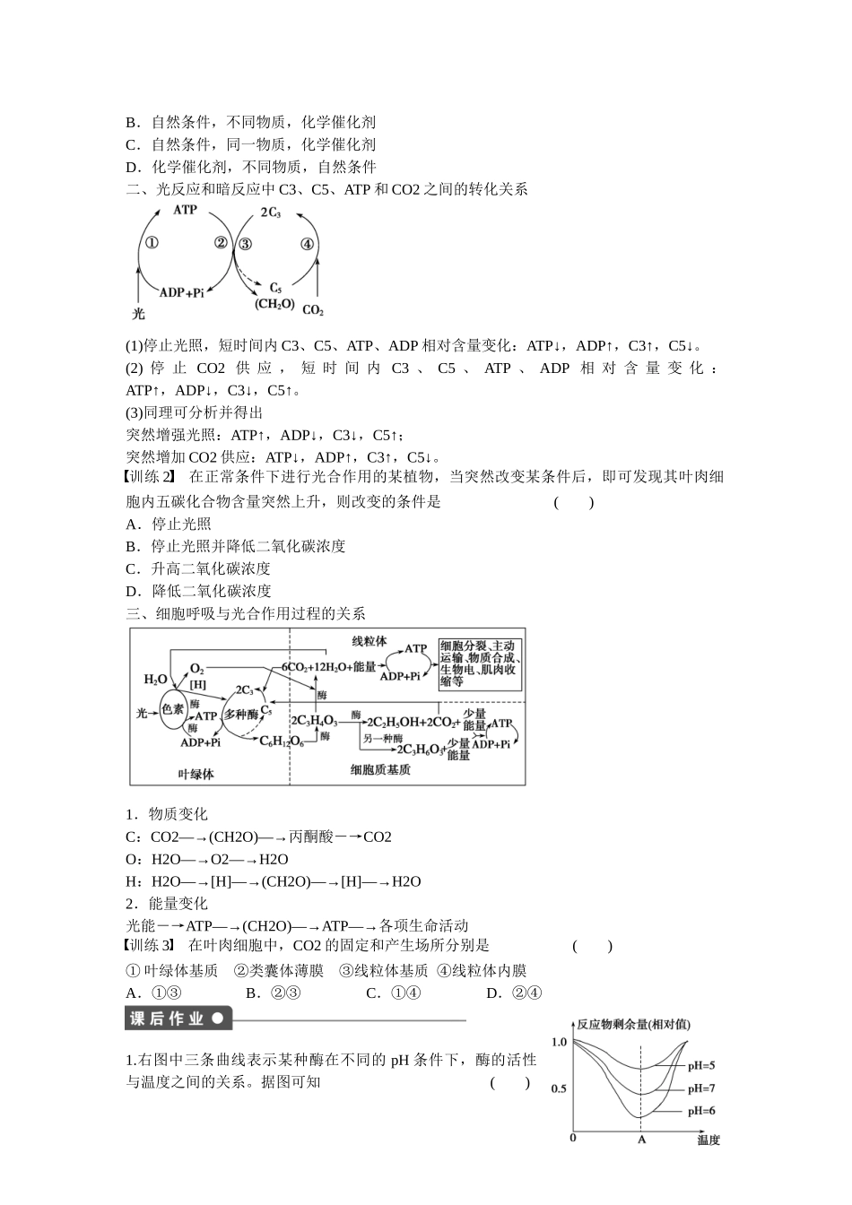 高中生物 第五章 细胞的能量供应和利用（第25课时）章末复习 新人教版必修1_第2页