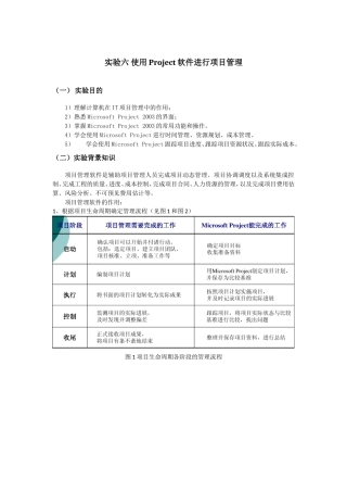使用Project进行项目管理