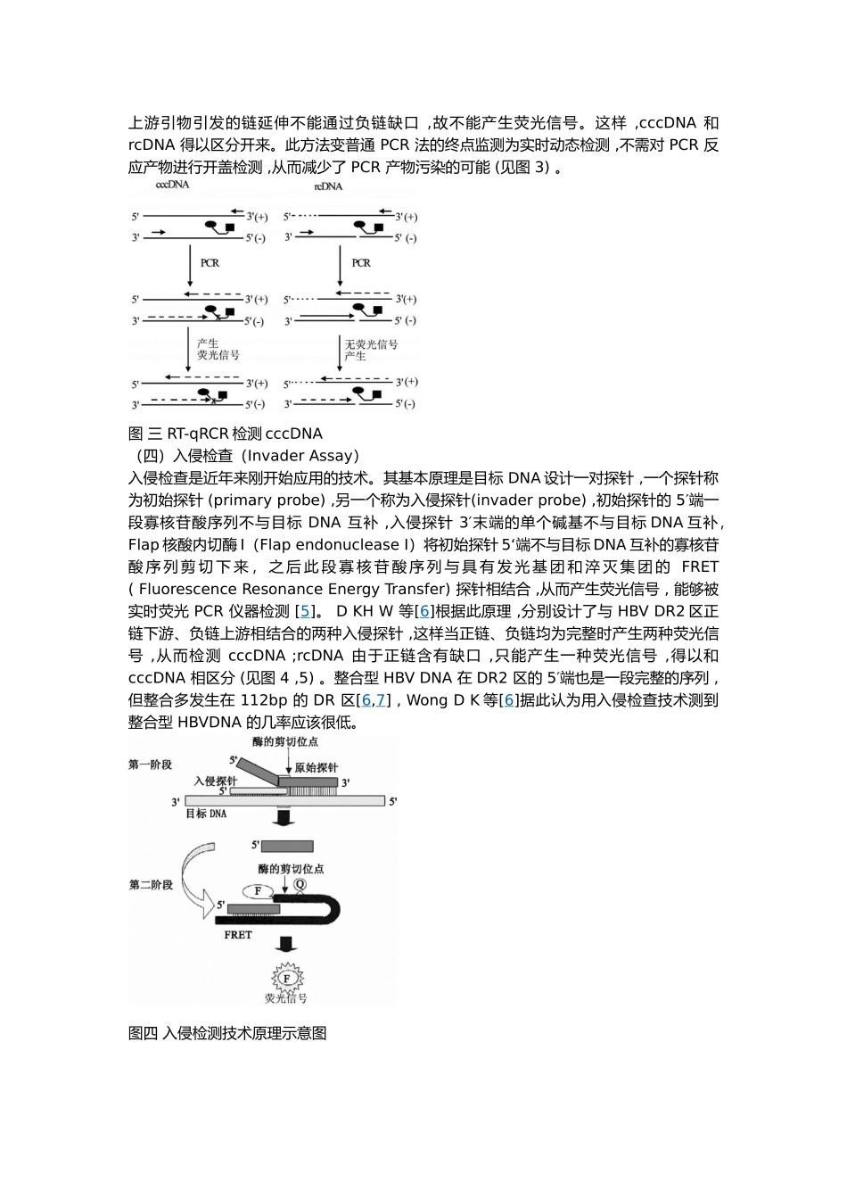 使用RNAscope-技术探索-HBV-DNA--cccDNA以及mRNA-在肝组织中的分布_第3页