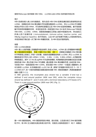 使用RNAscope-技术探索-HBV-DNA--cccDNA以及mRNA-在肝组织中的分布