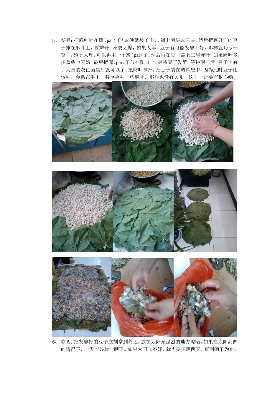 传统水豆豉的做法_第3页