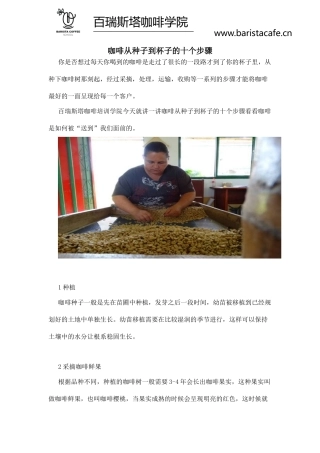 咖啡的十个步骤