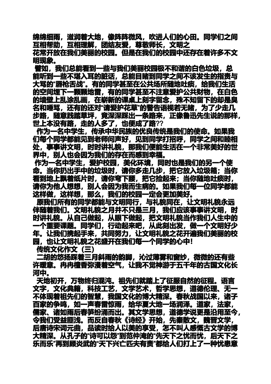 传统文化作文之莆田传统文化的作文_第2页