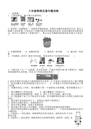 八年级物理压强专题训练