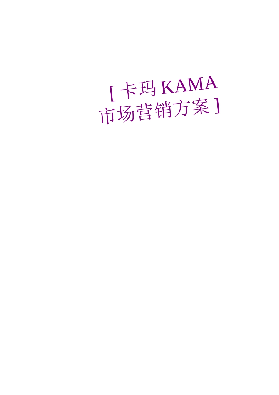 卡玛市场营销方案_第1页