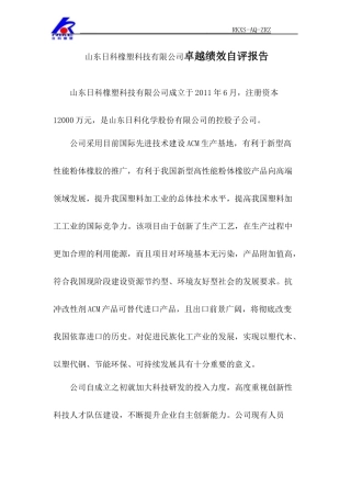 山东日科XX科技有限公司卓越绩效自评报告