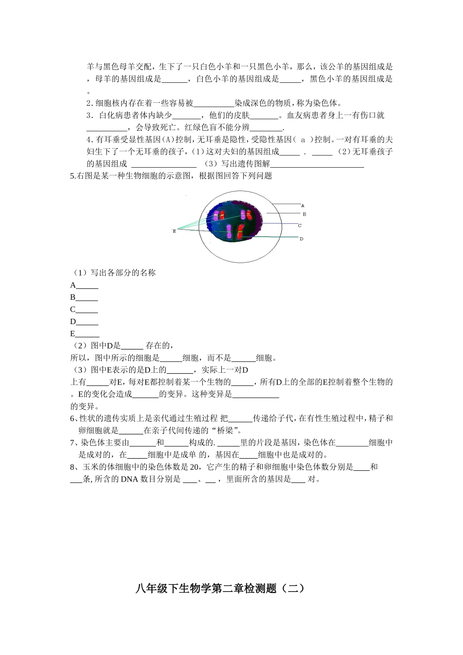 八年级下册生物学第二章检测题和答案_第3页