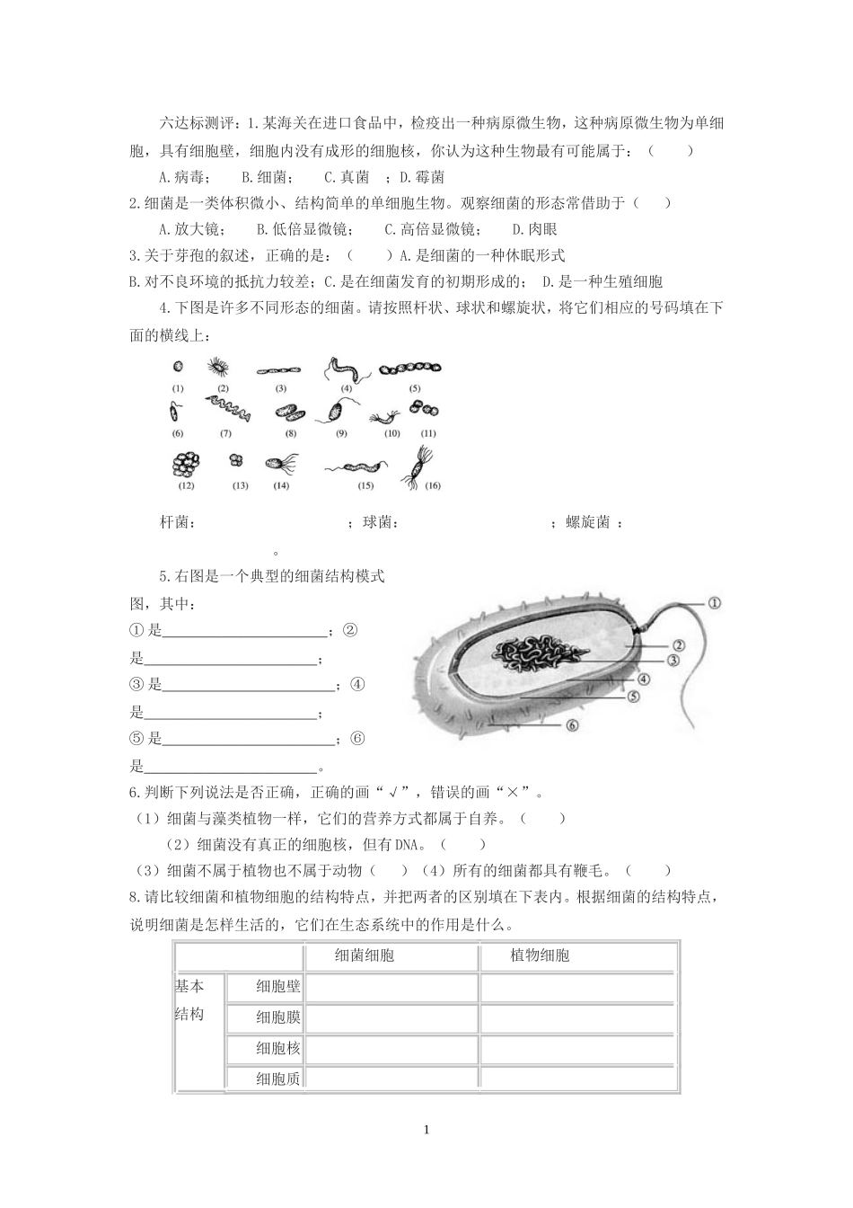八年级生物第六周学案_第1页