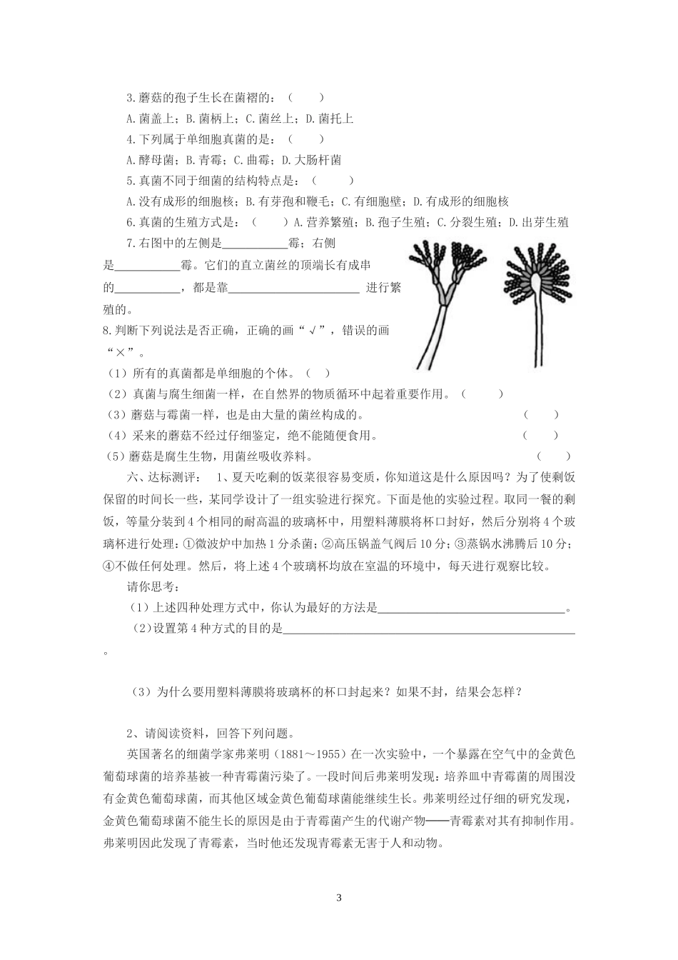 八年级生物第六周学案_第3页