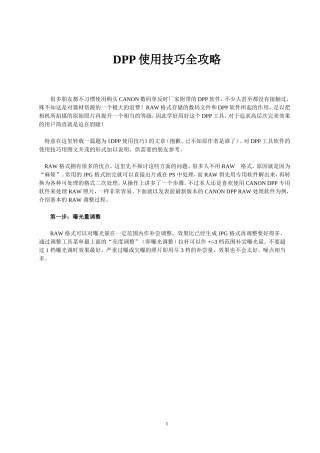 佳能DPP使用技巧全攻略