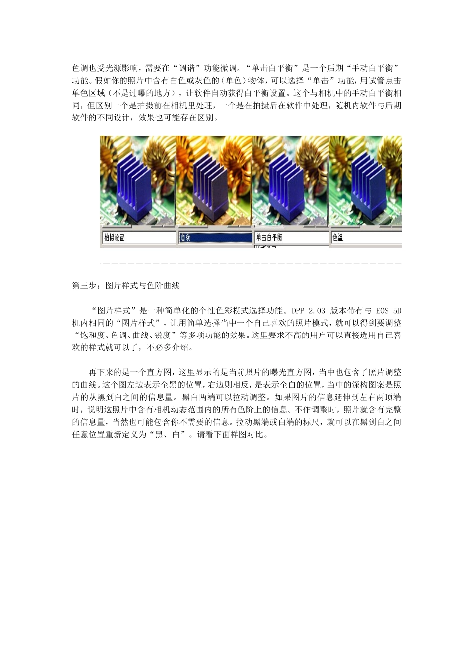 佳能RAW处理软件DPP使用技巧全攻略_第3页