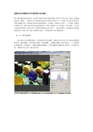 佳能RAW处理软件DPP使用技巧全攻略