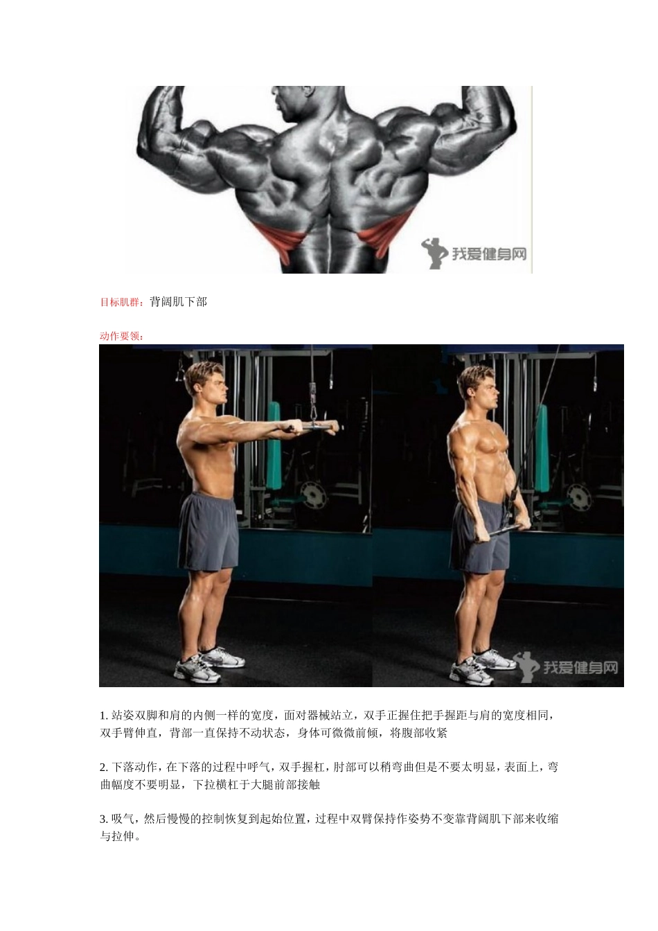 健身房背阔肌训练方法计划总结_第3页