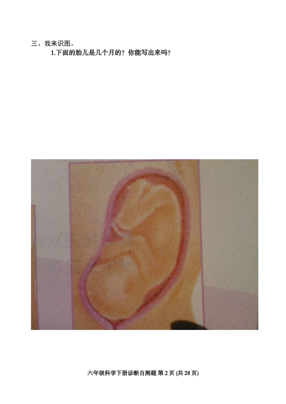 六年级科学自测题_第2页