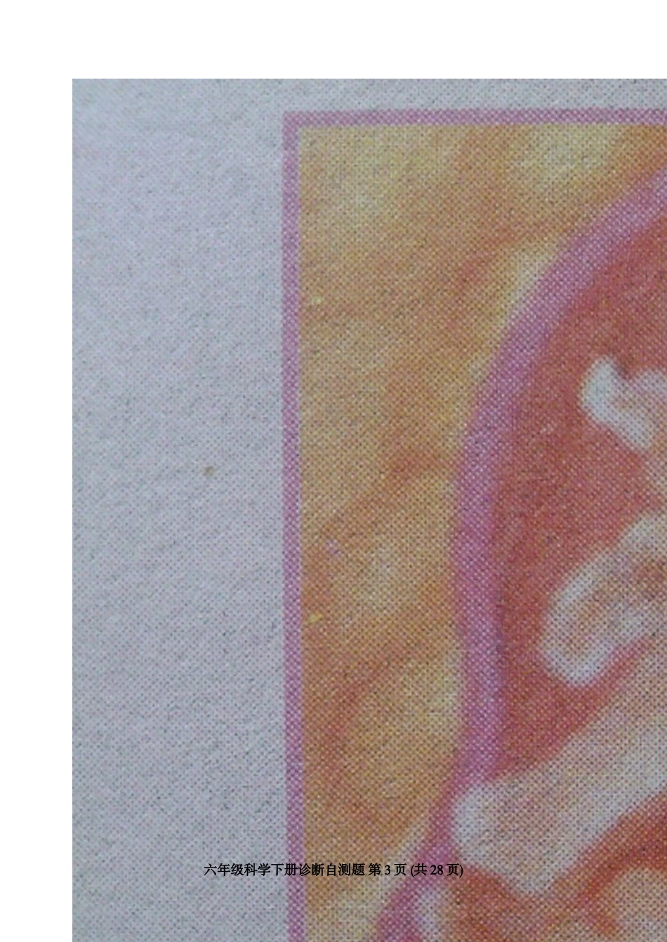 六年级科学自测题_第3页