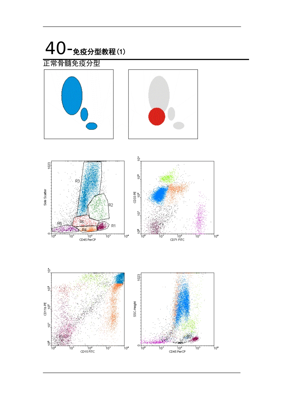 免疫分型教程_第1页