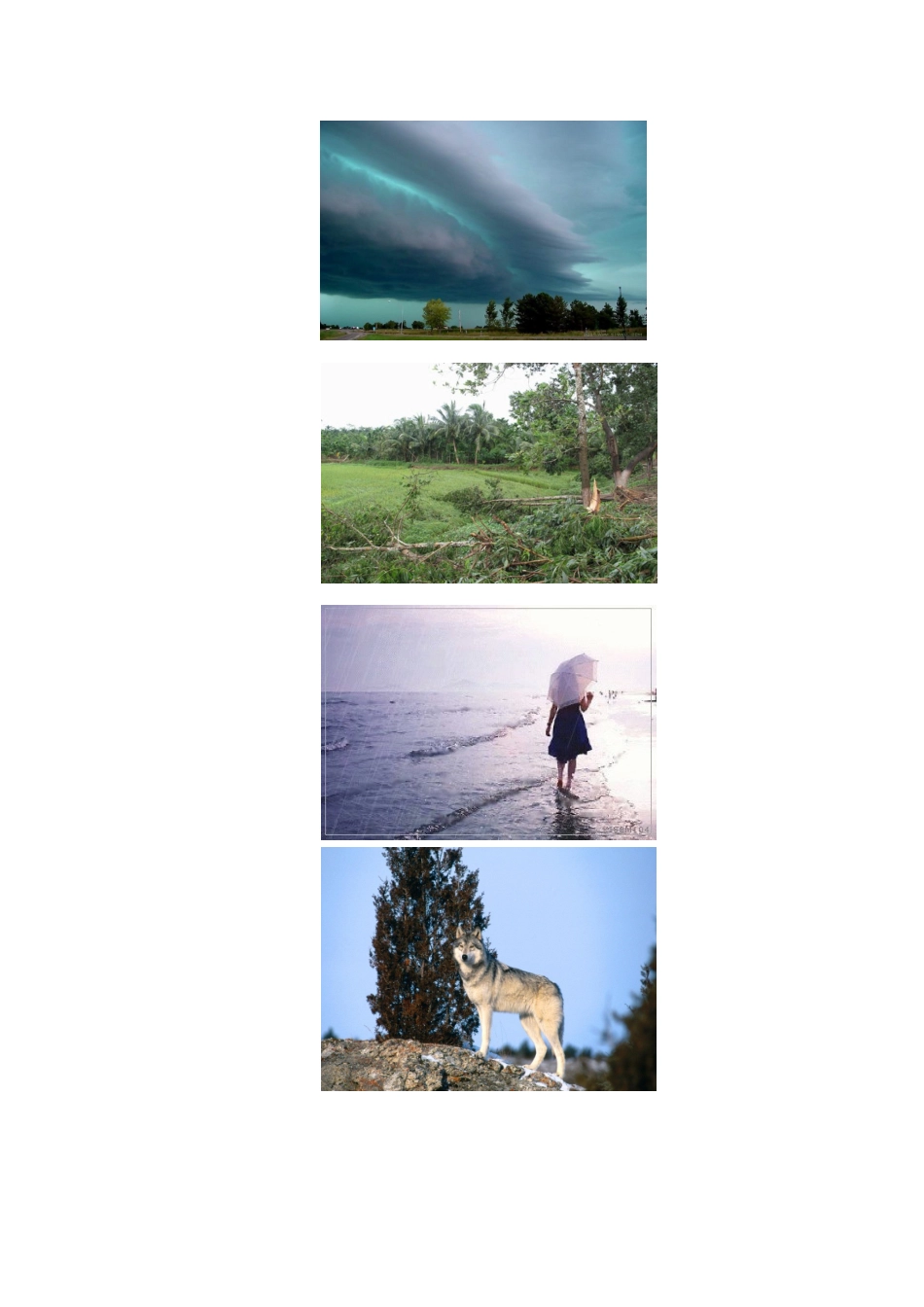 你害怕风吗？(翻译小诗24)13年2月18日doc_第2页