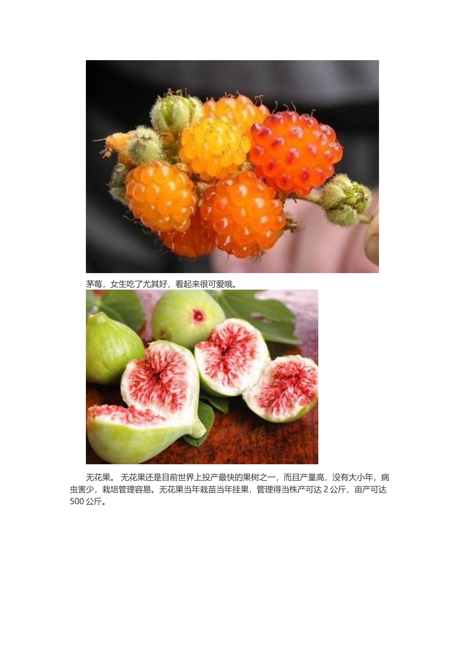 你没吃过的39种天然美味水果_第3页