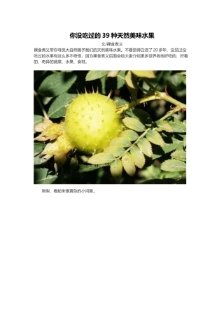 你没吃过的39种天然美味水果