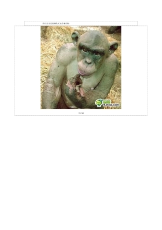 你们没见过的濒危灭绝珍稀动物