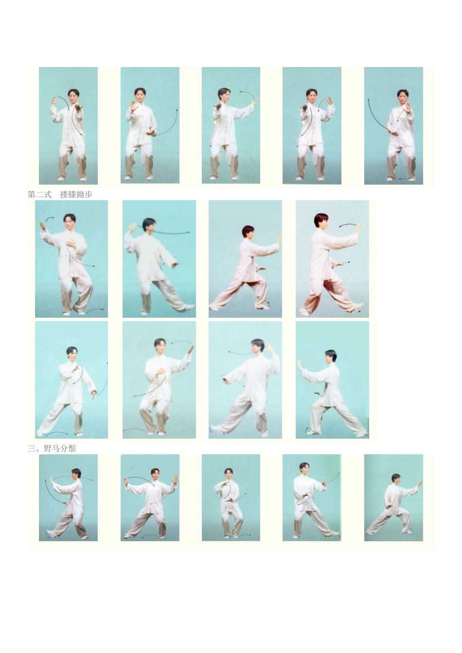 八式太极拳图解_第2页