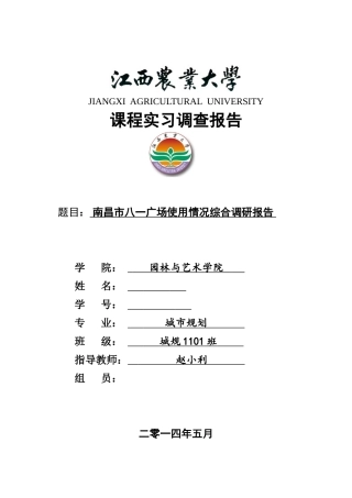 八一广场调研报告