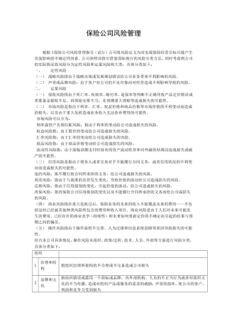 保险公司风险管理(风险分类)