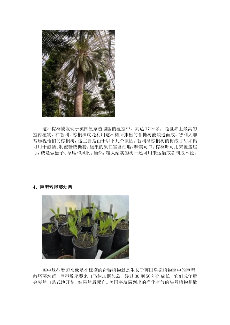全球怪异的动植物有哪些_第3页